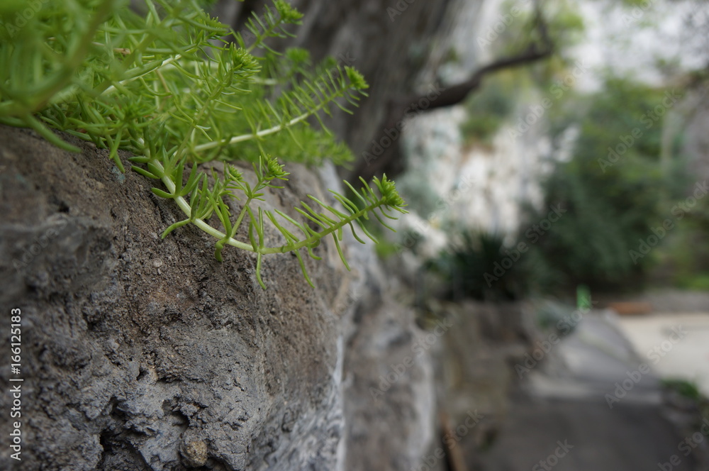 Fototapeta premium grenoble