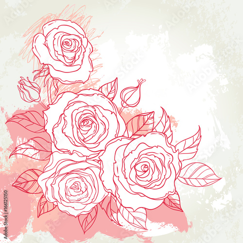 Beautiful roses bouquet drawing on beige grunge background. Hand drawn vector...