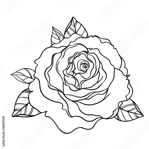 Black and white tattoo style roses with leaves isolated on white background. ...