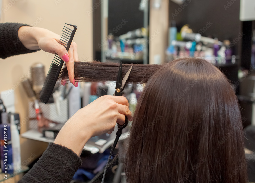 The hairdresser does a haircut with hot scissors of hair to a young girl, a  brunette in a beauty salon. Stock Photo | Adobe Stock