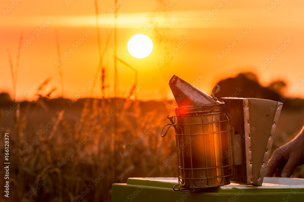 Obraz premium Das Arbeitsgerät Smoker eines Imkers im Licht des Sonnenuntergangs - Gegenlicht 