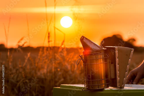 Das Arbeitsgerät Smoker eines Imkers im Licht des Sonnenuntergangs - Gegenlicht  photo