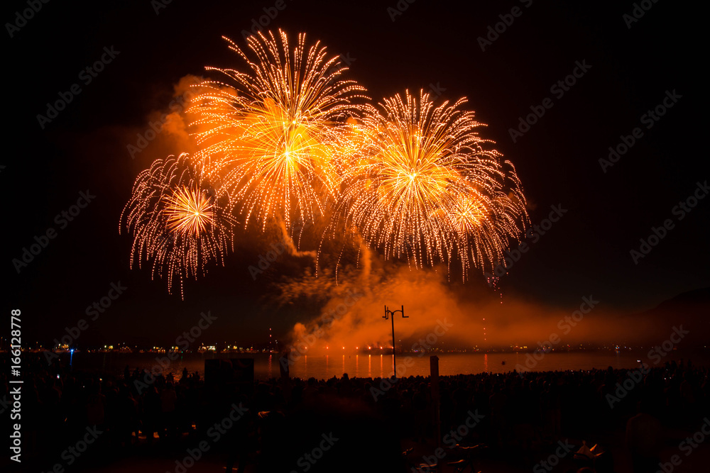 Night celebration fireworks festival ocean shore background
