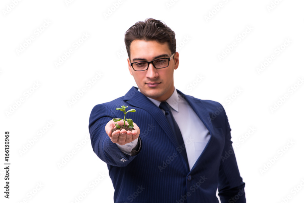 Businessman holding green sprouts isolated on white Businessman holding green sprouts isolated on white