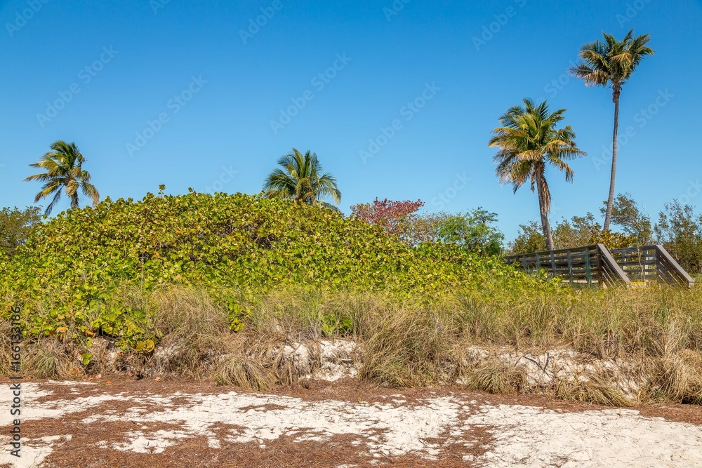 Sand and Palm Trees. Exposure done in Bahia Honda State Park and Beach, USA.. Sand and Palm Trees. Exposure done in Bahia Honda State Park and Beach, USA..