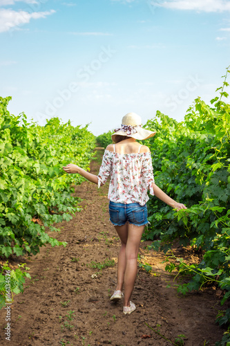 A young woman walks through a vineyard on a wine farm or estate. photo