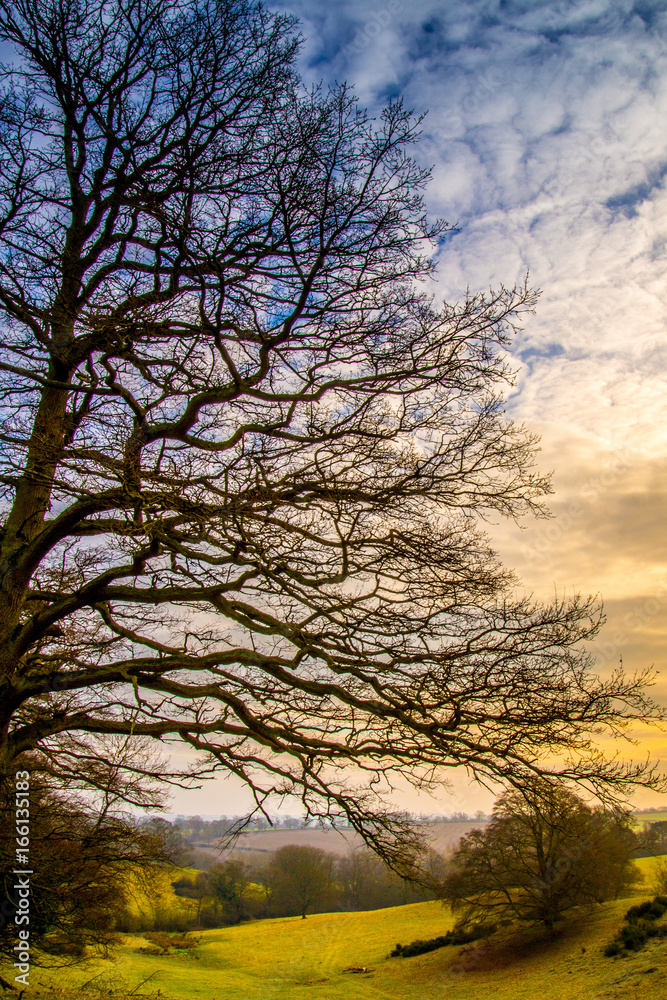 Springtime sunset Springtime sunset