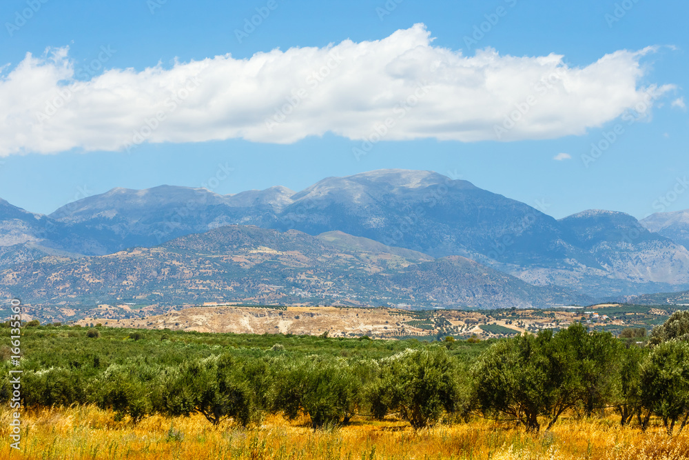 Beautiful mountain landscape with olive plantation, Crete Island, Greece