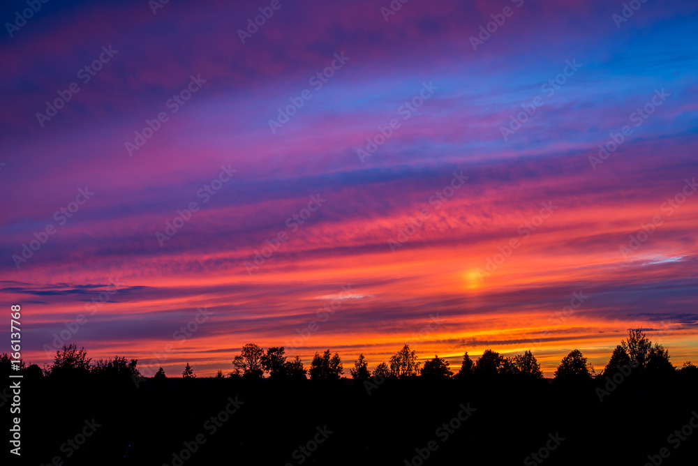 Colorful sunset with clouds and trees