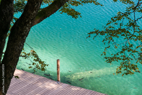 Wooden footpath along beautiful lake