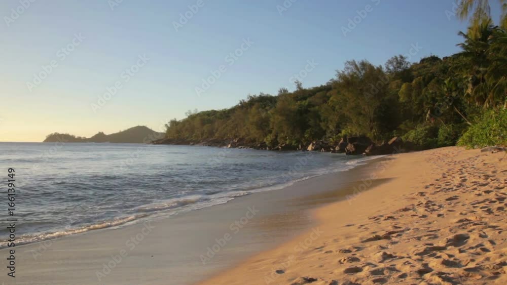 died tree on sandy beach at Seychelles died tree on sandy beach at Seychelles