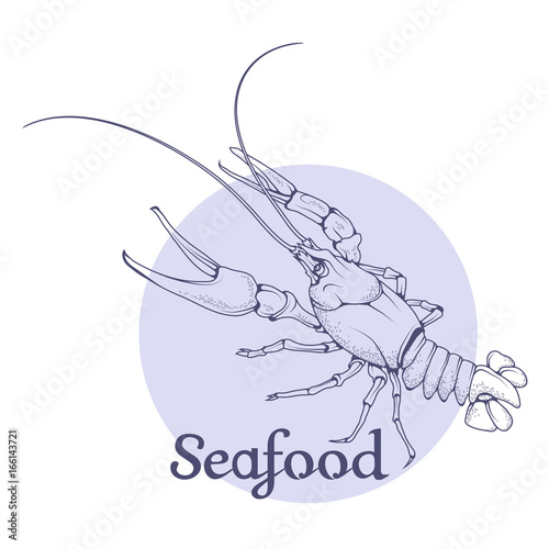 Vector seafood logo. Lobster. Isolated on white background. Ocean Delicacies collection