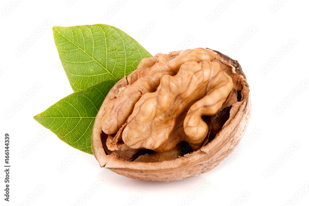 Walnut with leaf isolated on white background Walnut with leaf isolated on white background