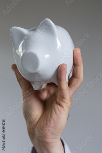 money pig