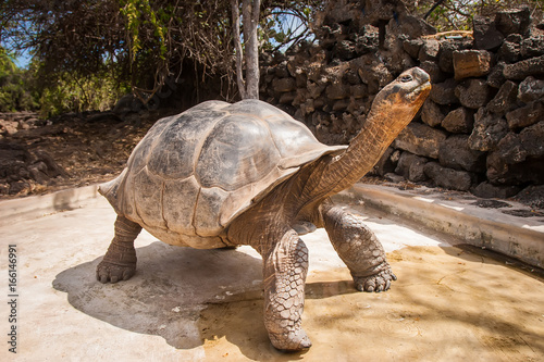 Ecuador. Galapagos Islands....