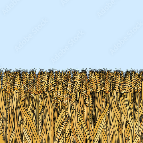abstract vector cartoon doodle wheat seamless pattern