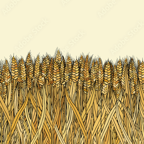 abstract vector cartoon doodle wheat seamless pattern