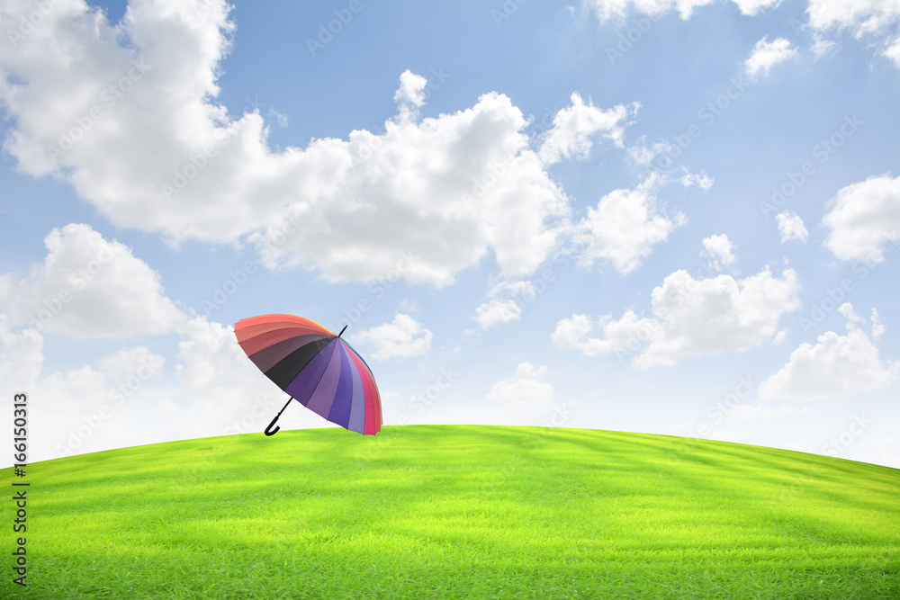 Obraz premium Colorful umbrellas on green grass. Sky background