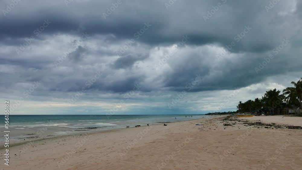 A real time video from the beautiful white sand beaches of Bantayan Island, taken on an overcast afternoon. Dogs can be seen playing on the beach. A real time video from the beautiful white sand beaches of Bantayan Island, taken on an overcast afternoon. Dogs can be seen playing on the beach.