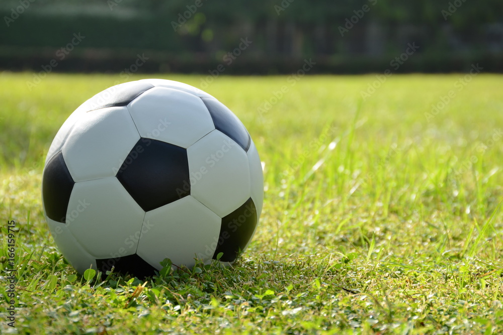 Football or soccer ball on the lawn with sunlight in morning day,outdoor activities.