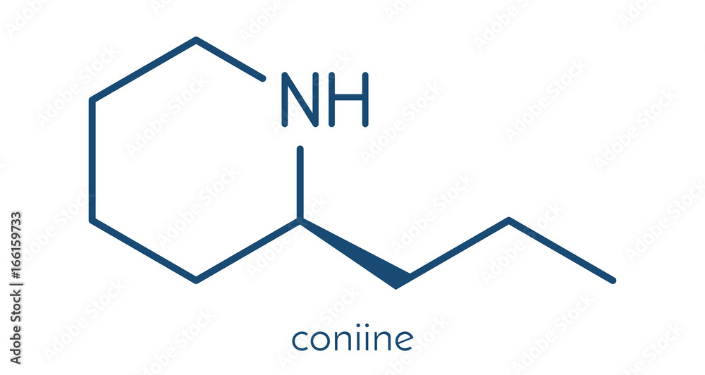 Coniine herbal toxin molecule. Present in poison hemlock (Conium maculatum). Skeletal formula. Coniine herbal toxin molecule. Present in poison hemlock (Conium maculatum). Skeletal formula.