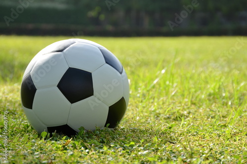 Football or soccer ball on the lawn with sunlight in morning day,outdoor activities.