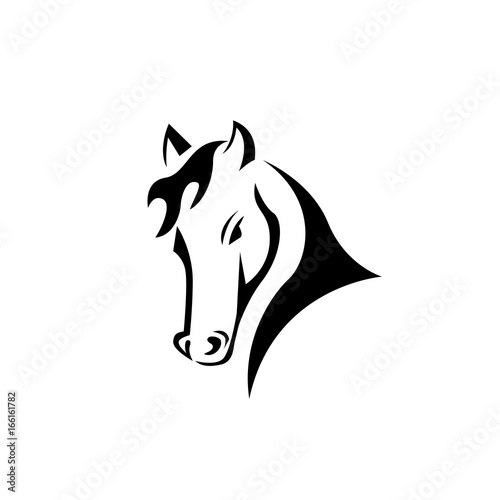 tame horse