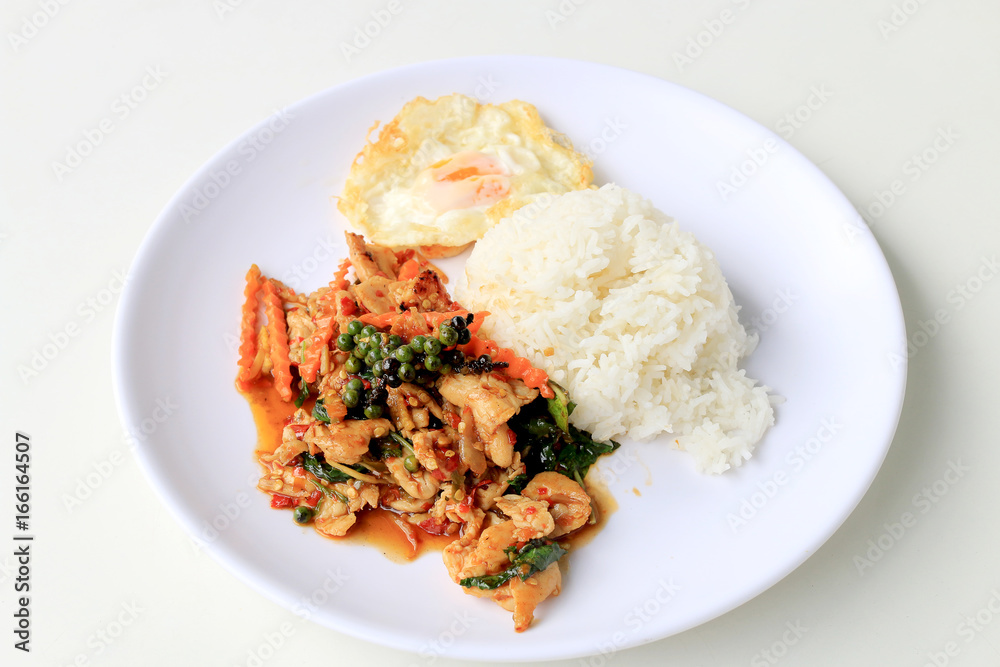 stir fried chicken with roasted chili paste and fresh Piper nigrum on jasmine rice in white plate on white background. Thai style food. stir fried chicken with roasted chili paste and fresh Piper nigrum on jasmine rice in white plate on white background. Thai style food.