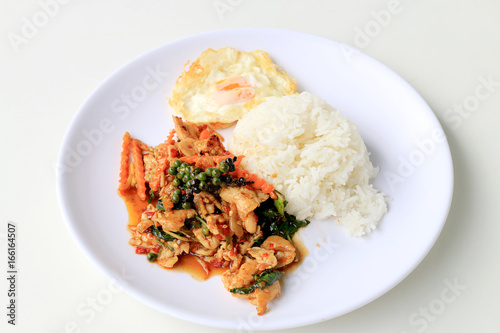 stir fried chicken with roasted chili paste and fresh Piper nigrum on jasmine rice in white plate on white background. Thai style food.
