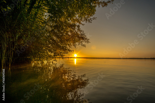 Tree on a lake at sunrise