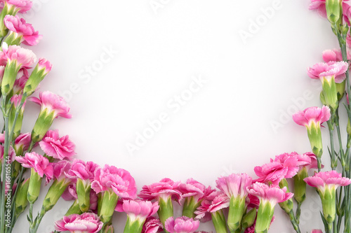 Fototapeta Naklejka Na Ścianę i Meble -  Pink carnation flowers on white background with copy space