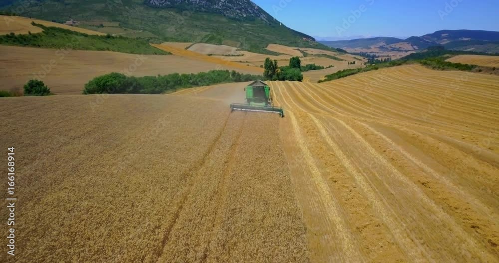 Cosecha Trigo Agricultura