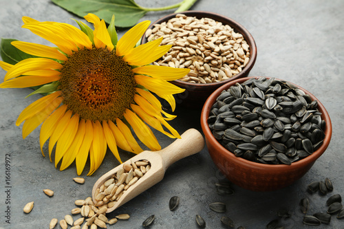 Fototapeta Naklejka Na Ścianę i Meble -  Sunflower seeds in scoop and bowl on grey wooden table