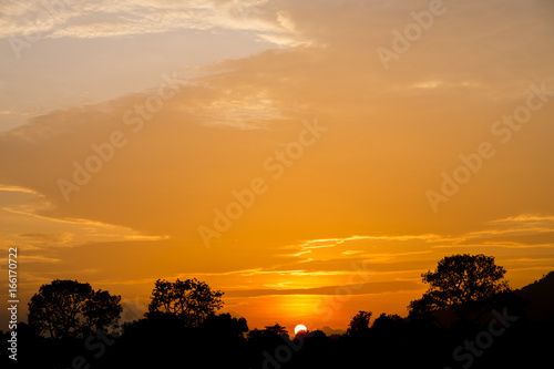 Silhouette of a tree with the sun behind the tree. In the evening  before sunset. abstract background.