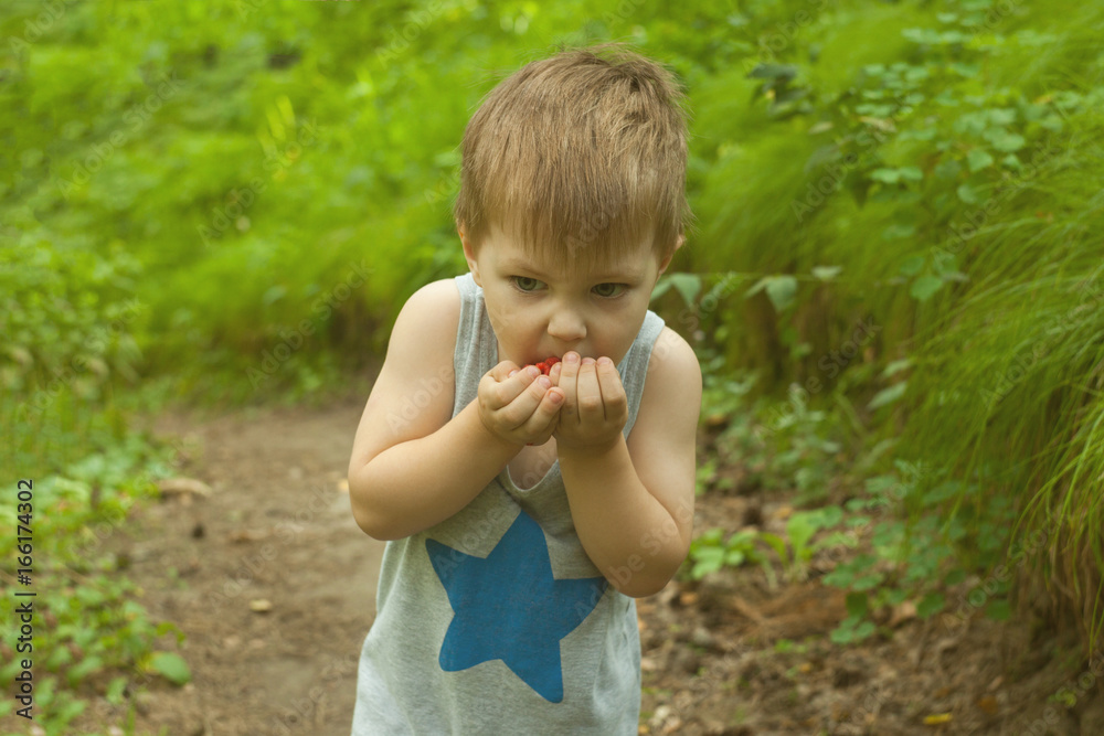 toddler boy eating strawberries in the woods toddler boy eating strawberries in the woods