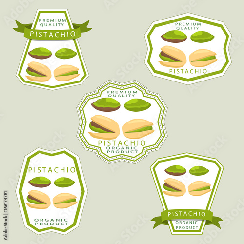 Abstract vector illustration logo whole ripe green pistachio nut.