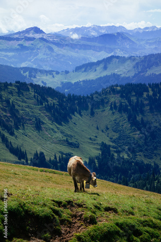 Wandern an einem Sonntag auf der Nagelfluhkette in den Allgäuer Aplen photo