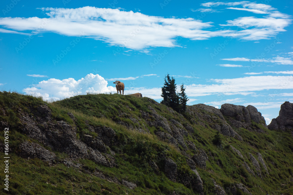 Wandern an einem Sonntag auf der Nagelfluhkette in den Allgäuer Aplen