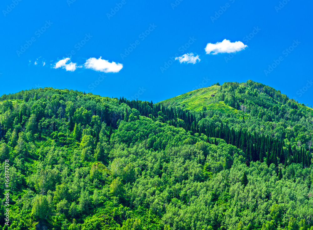 Blue sky, white clouds, green Altai Mountains at noon, Ridder, Kazakhstan