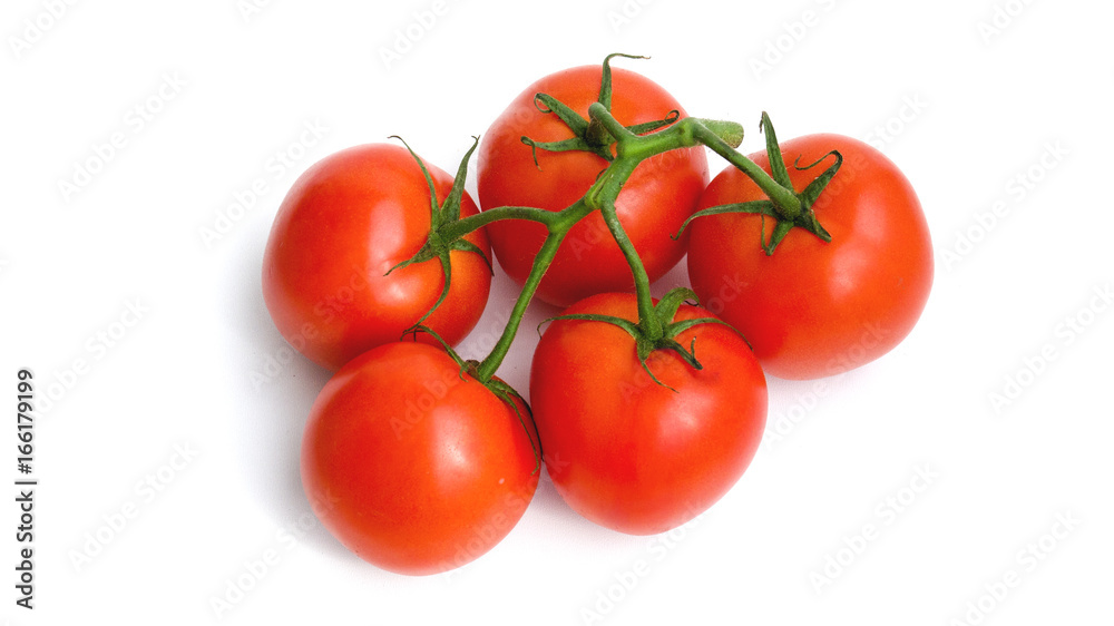 red tomatoes on a branch isolated on white background