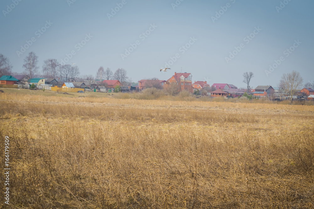 Fototapeta premium Spring Dry Grass