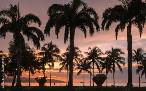 Silhouette of palm trees on beautiful colorful tropical island sunset. Evening dusk at quay in Kota Kinabalu  Malaysia