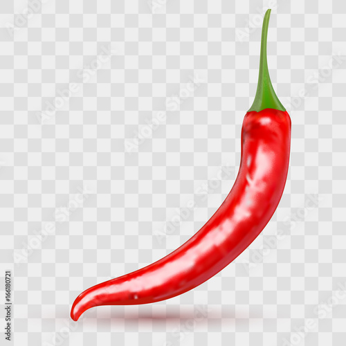 Red hot natural chili pepper pod realistic image with shadow for culinary products and recipes vector illustration