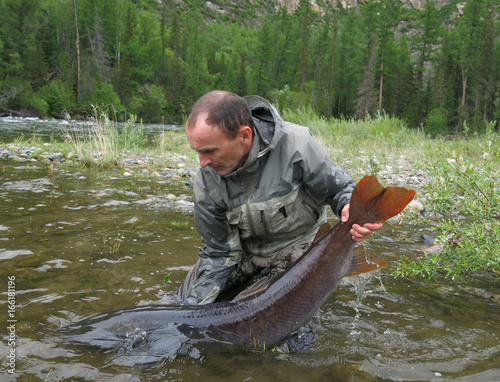 Fishing catch and release (taimen fish)