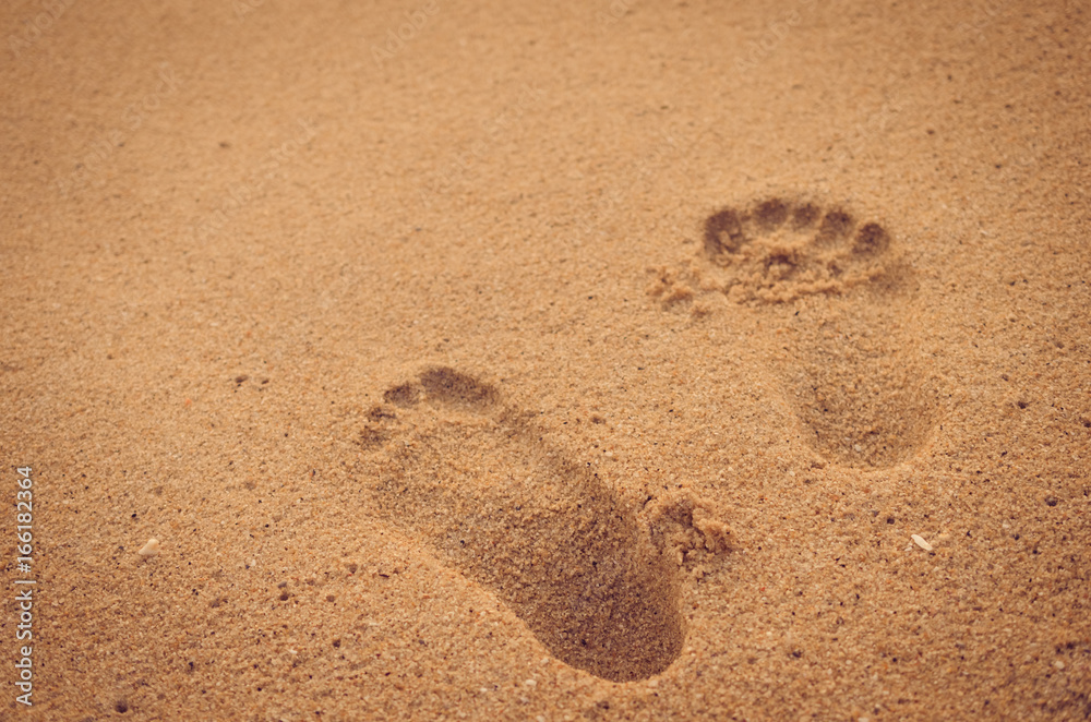 Copy space of footprint on sand beach texture background. Copy space of footprint on sand beach texture background.