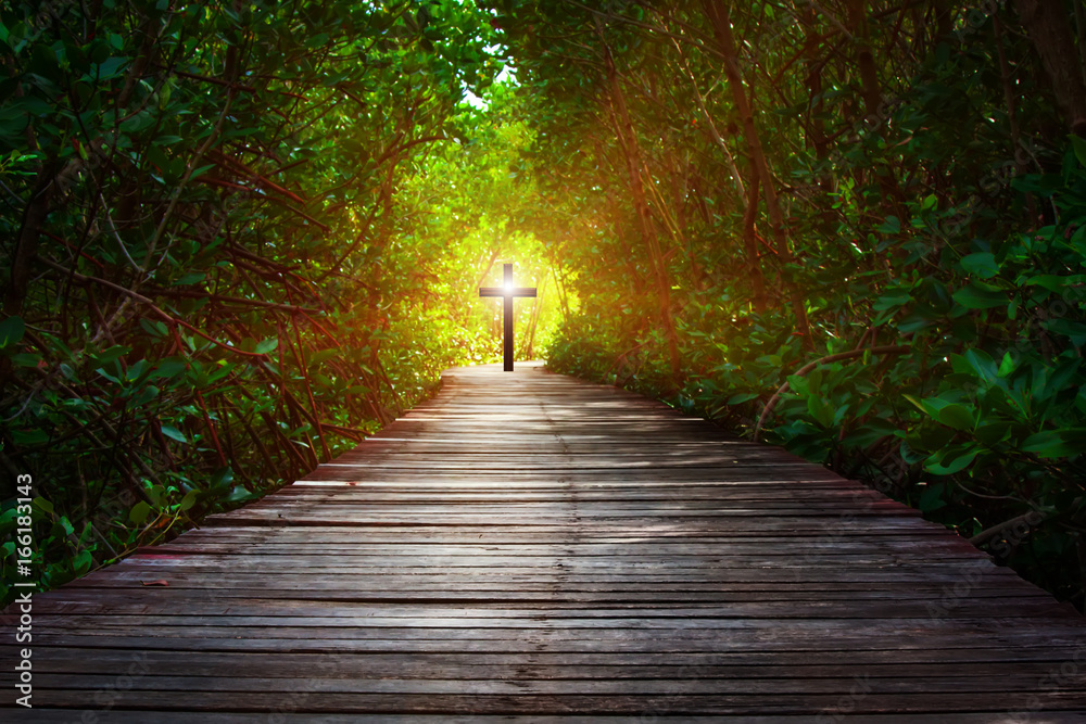 Obraz premium Idea Concept The way to Christ