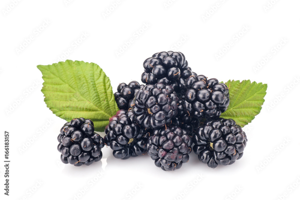 Blackberries Blackberries