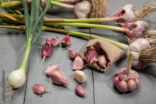 Fresh garlic and onions on a gray background photo