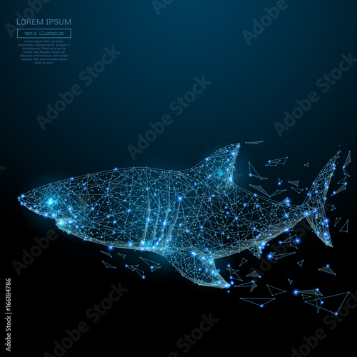 Abstract image of a shark in the form of a starry sky or space, consisting of points, lines, and shapes in the form of planets, stars and the universe. Vector animal concept