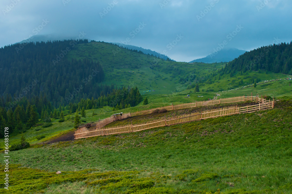 Sheep yard made of wooden picket fence on lush green slope against mountain tops covered with clouds. Warm summer evening. Marmarosh range, Carpathian mountains, Ukraine